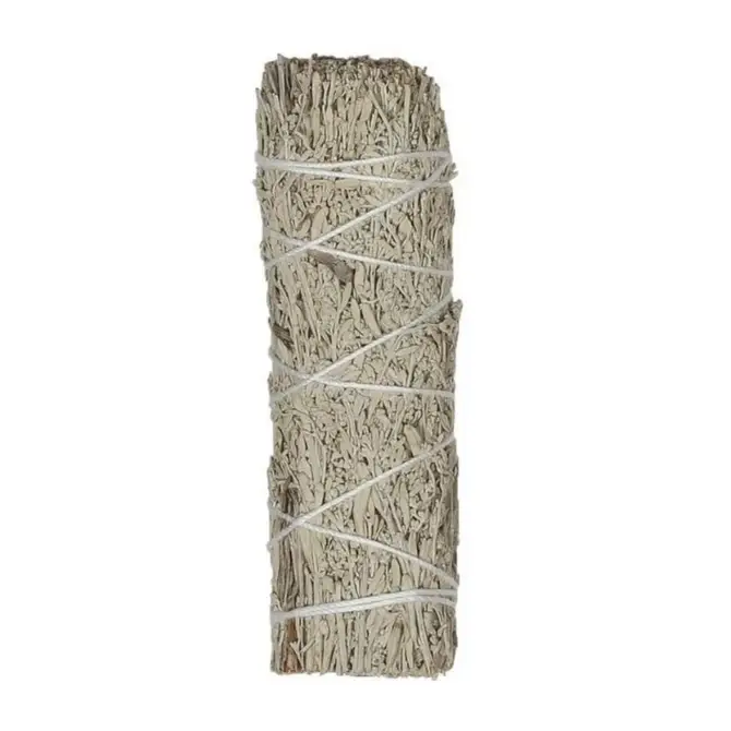 Blue Sage (Grandmother Sage) Bulk (25 PACK)