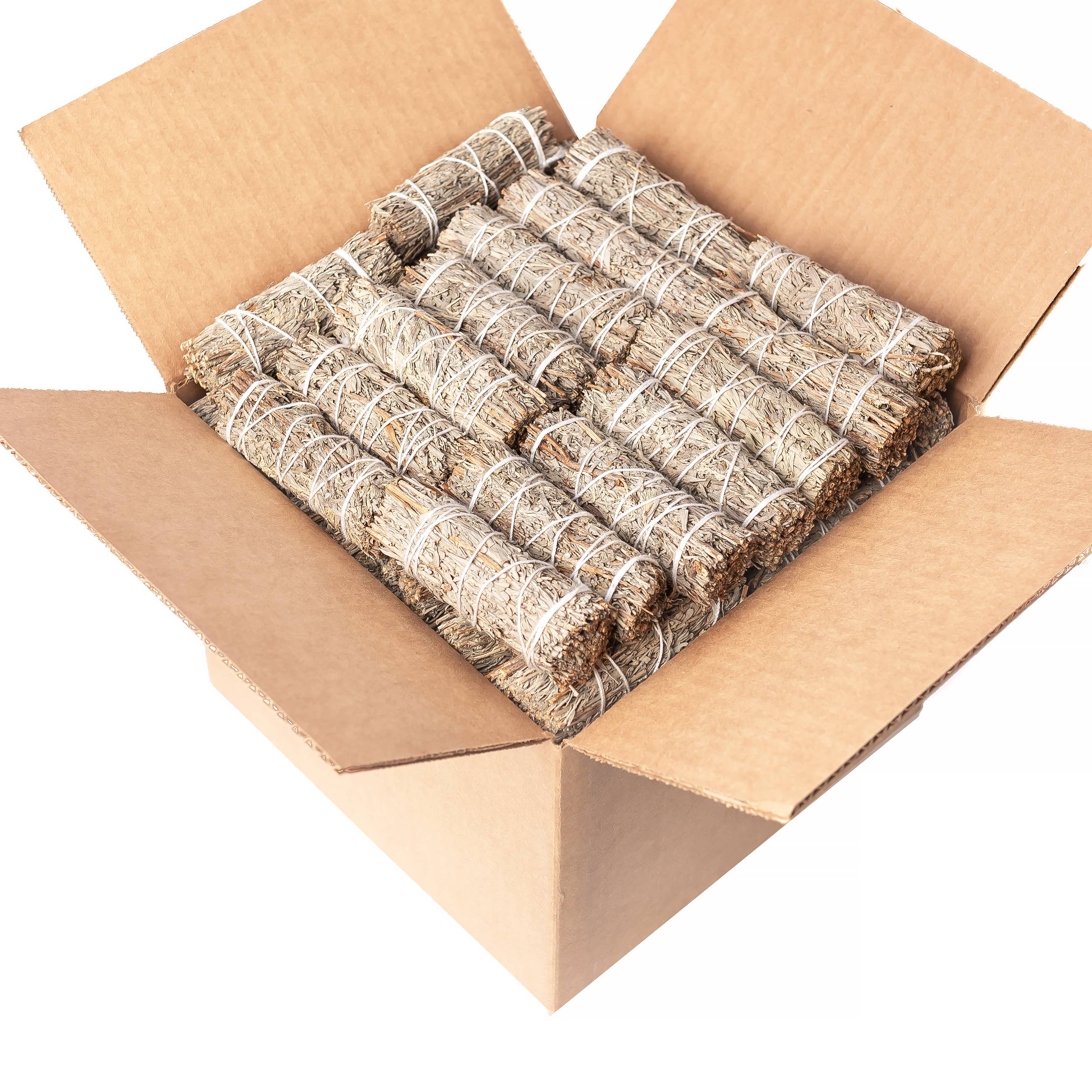 Blue Sage (Grandmother Sage) Bulk (25 PACK)