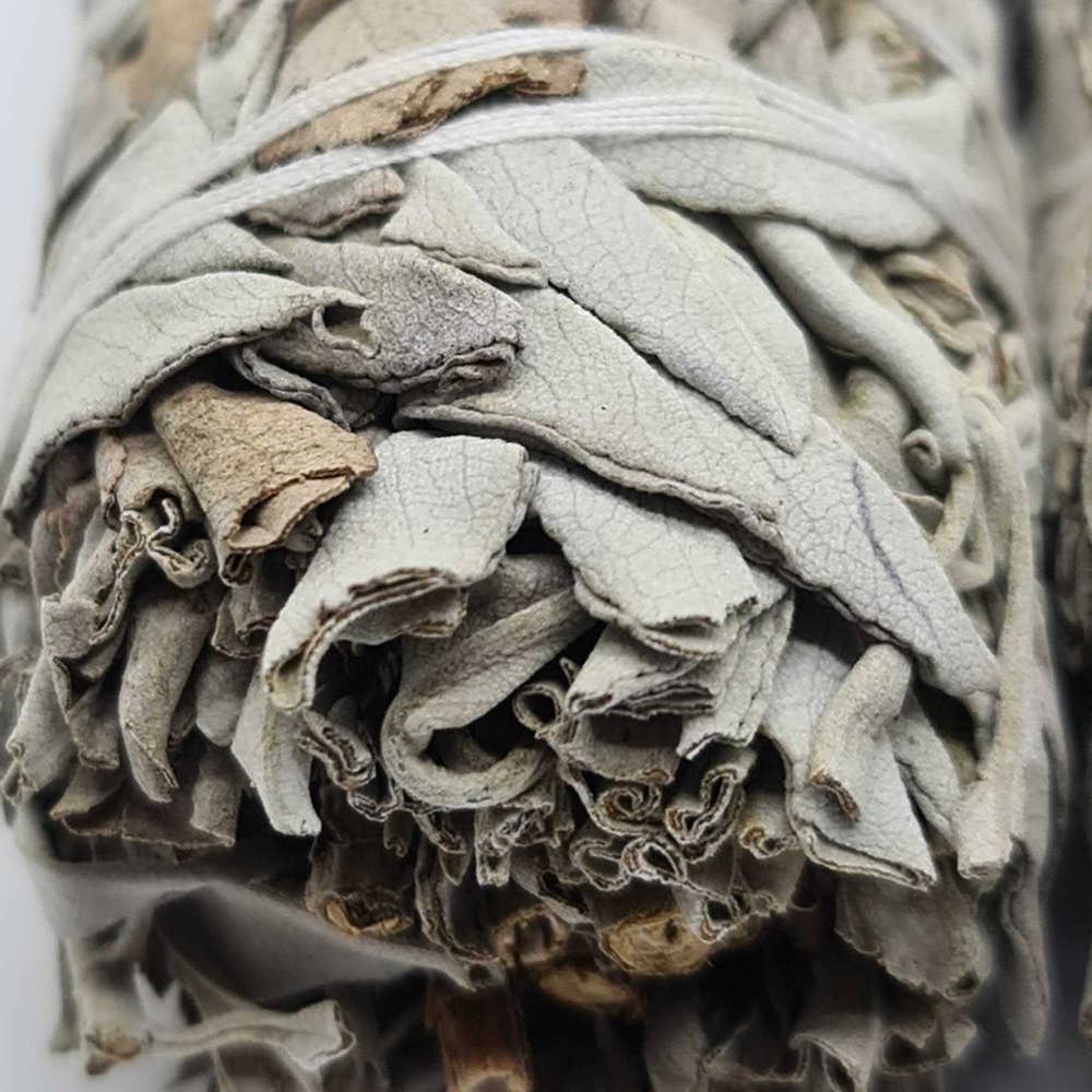Smudge Stick, White Sage 6"