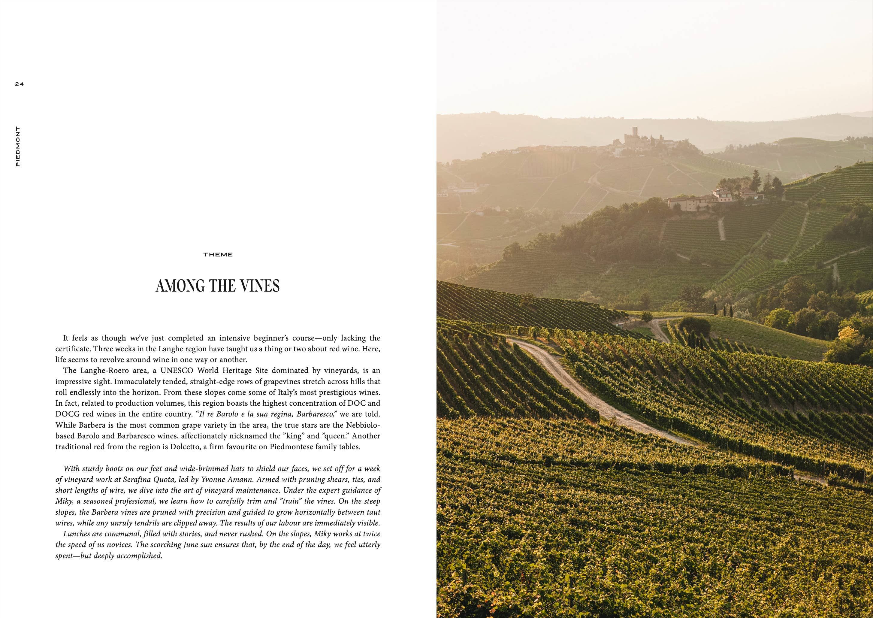 Travel Guide: Somewhere in Italy