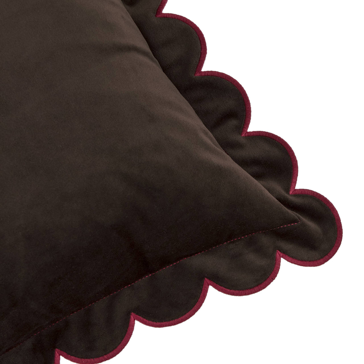 Lil Scallop Velvet Cushion Chocolate/Burgundy: Chocolate/Burgundy / Cover Only / 45 x 45cm