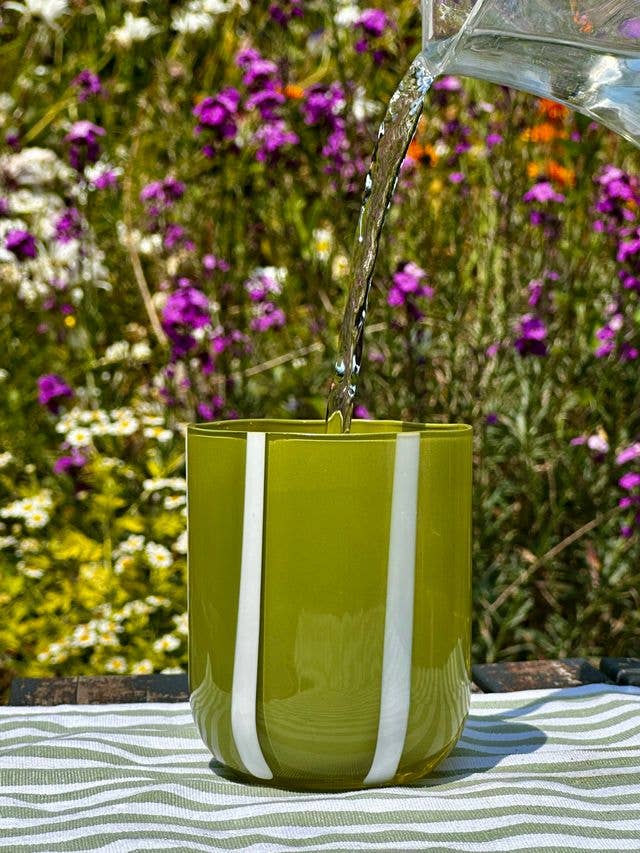 Atina Glassware - Olive & White